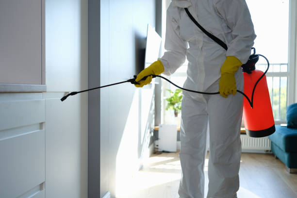 Best Residential Mold Remediation in Jessup, MD