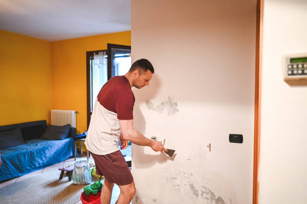 Best Crawl Space Mold Remediation in Jessup, MD